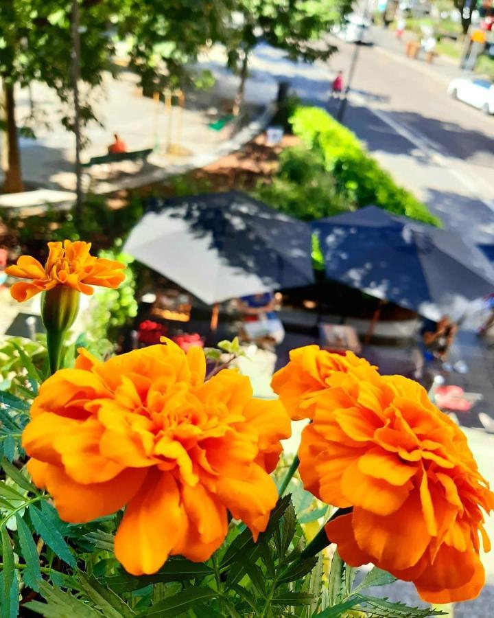 ルームイン ミラノ エクステリア 写真